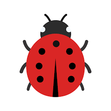 Bug